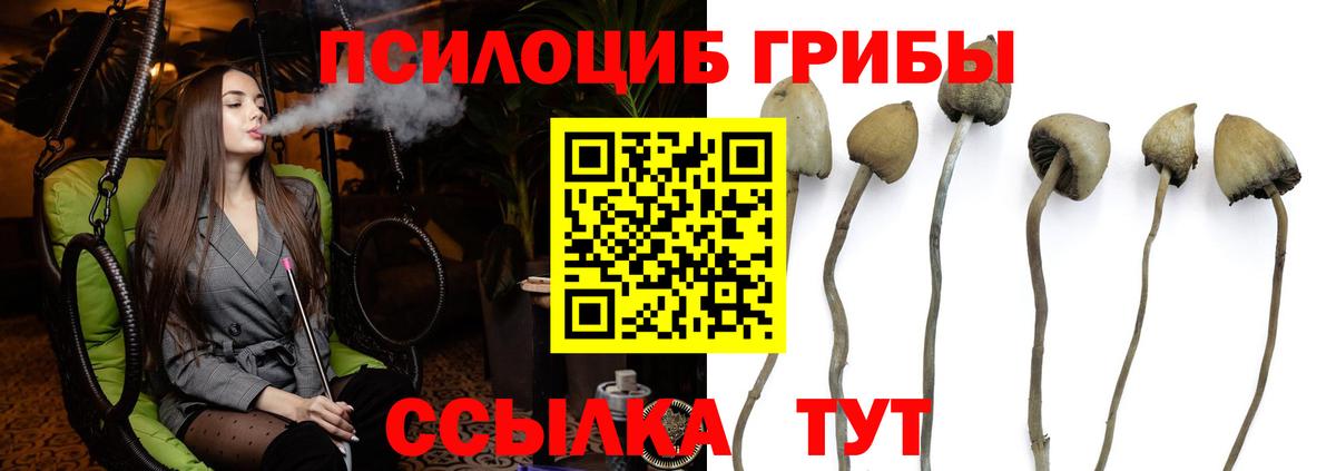 Псилоцибиновые грибы мицелий Майский